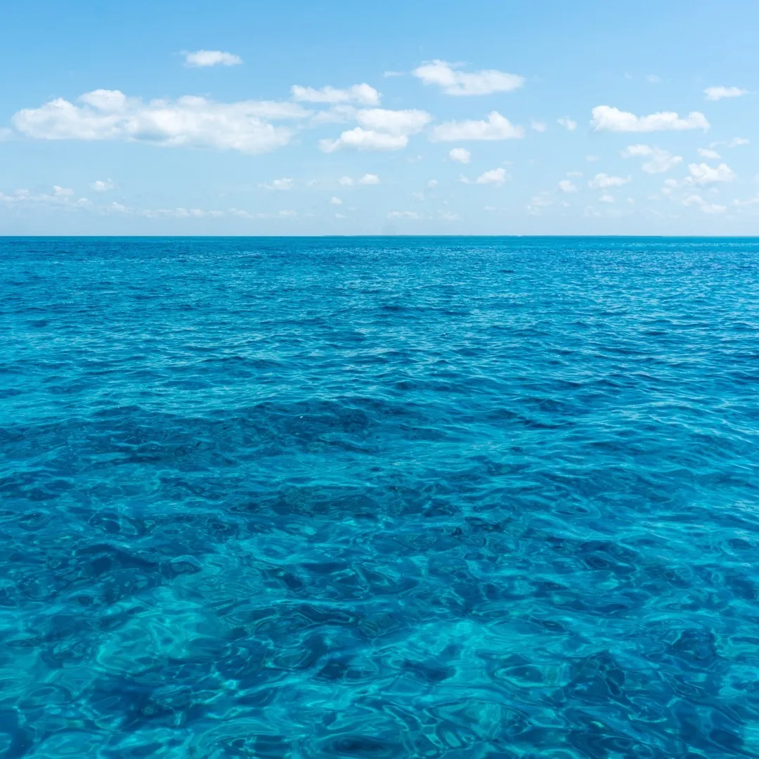 ocean
