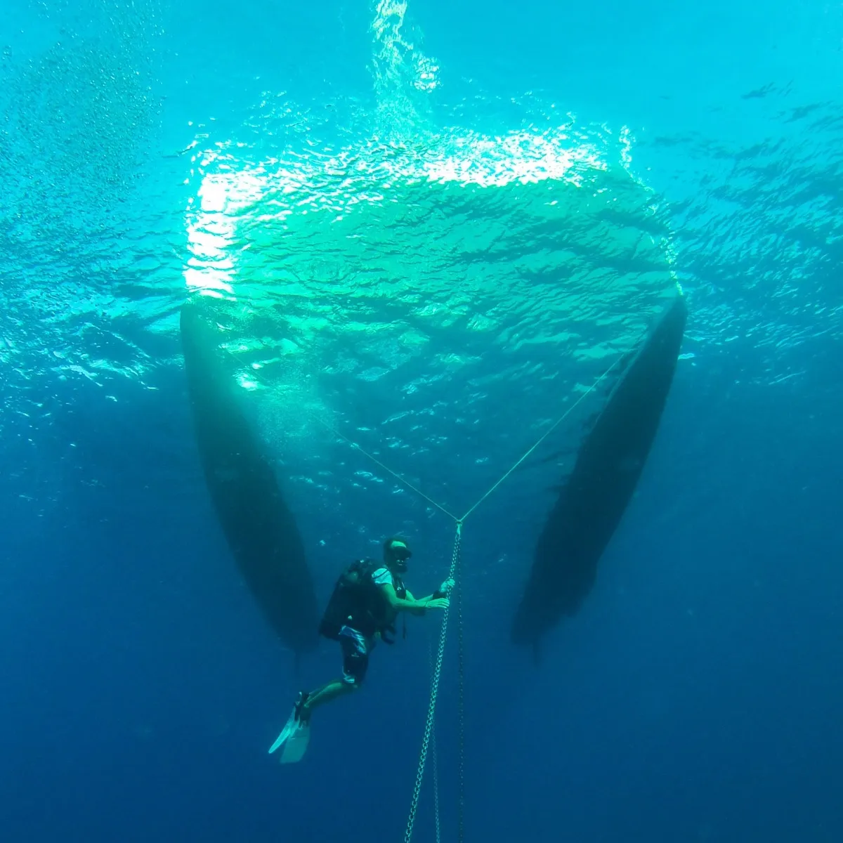 dive stop