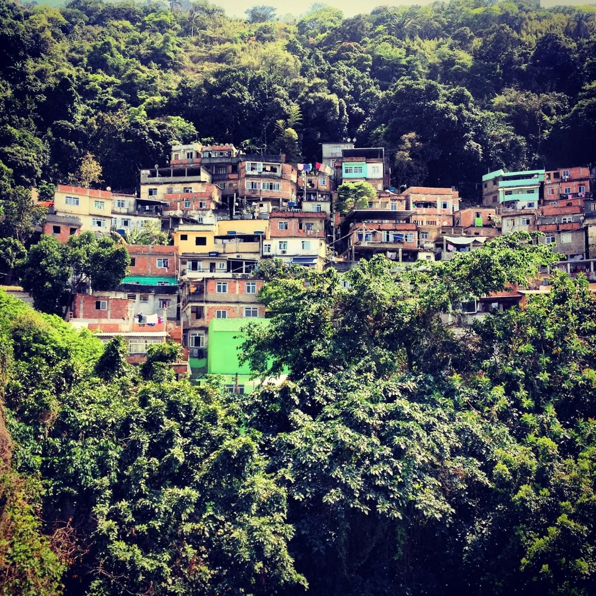 favela