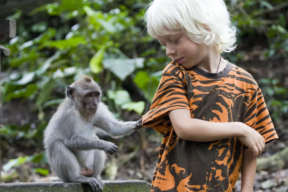 kid and a monkey