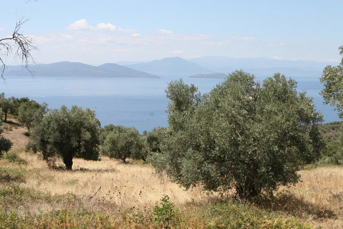 Pelion stone village
