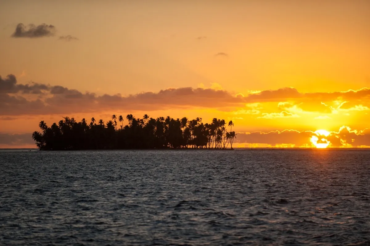 whales and sunsets