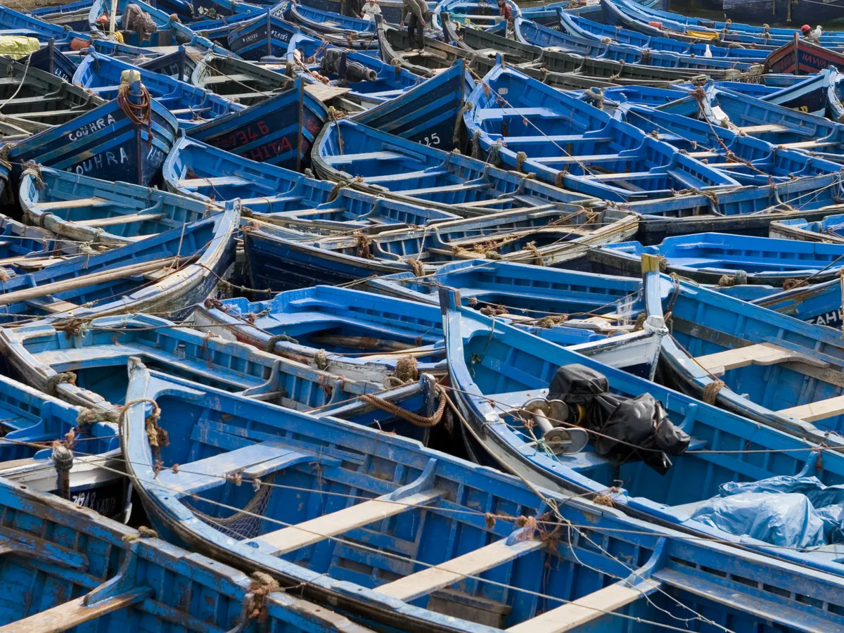 blue boats