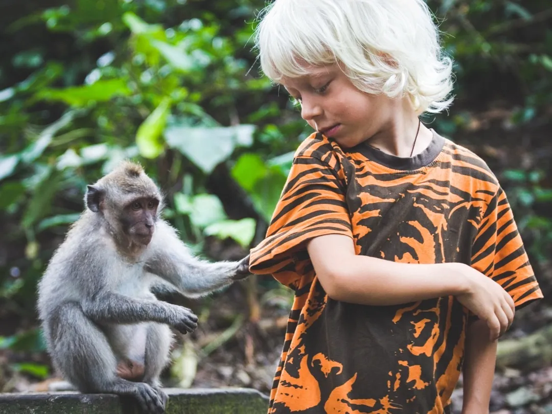 monkey and kid