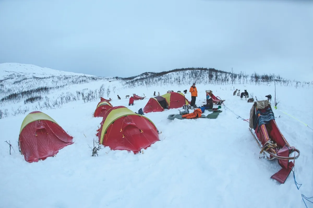 sleeping in the snow