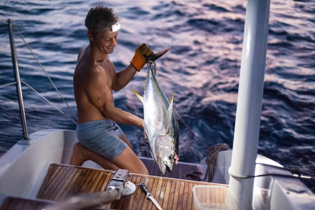 tuna